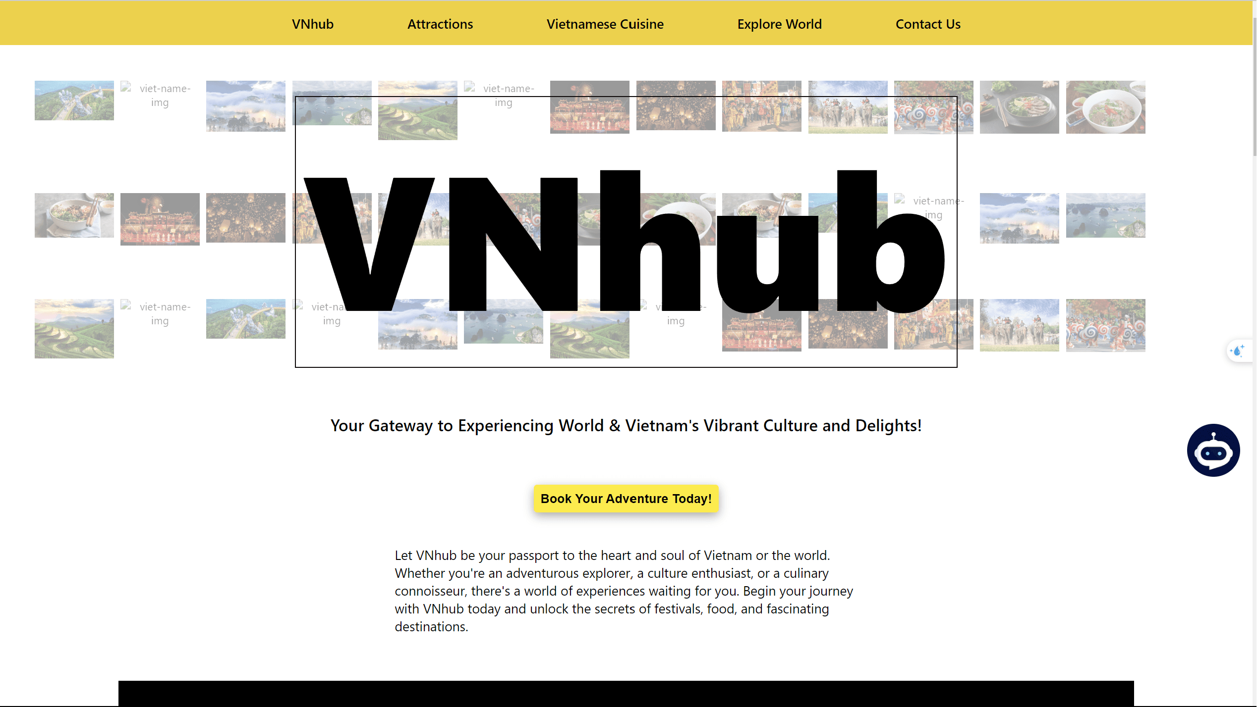 VNHub